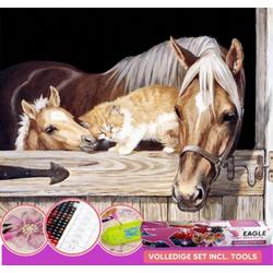 Paarden in Stal | Diamond Painting Pakket 40x30cm | Eagle Arts